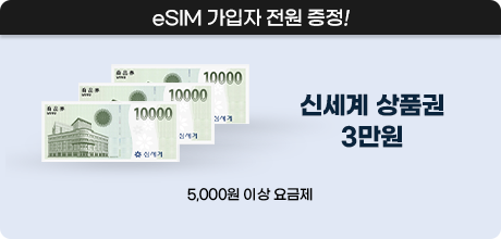 12월 eSIM 가입자 신세계 상품권 3만원 증정